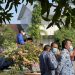 Hari Kebangkitan Nasional 2022